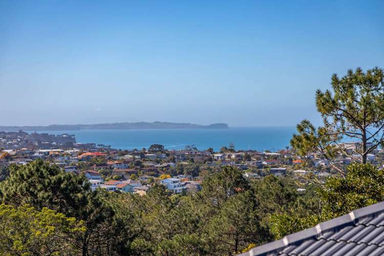 113A Sunrise Avenue Murrays Bay_17