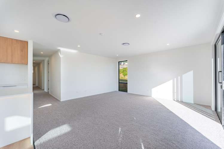 9 Mahara Place Maori Hill_18