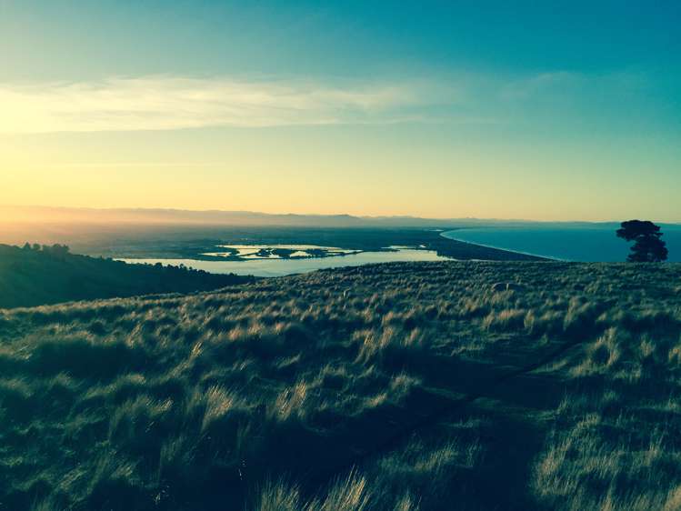 3 Haumoko Lane Clifton_5