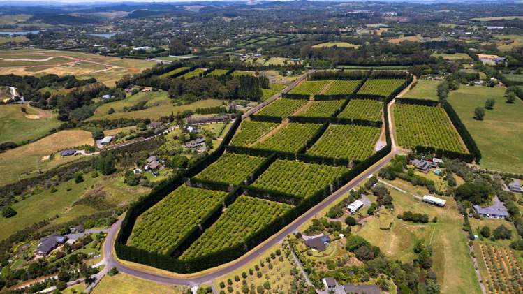 409 Kapiro Road Kerikeri_1