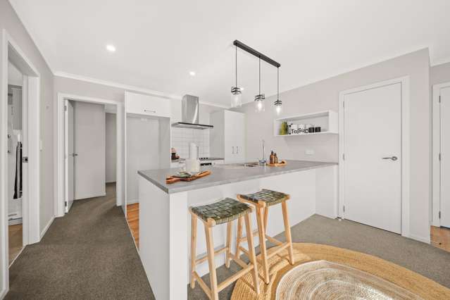 23 John Mcdonald Mews Masterton_3