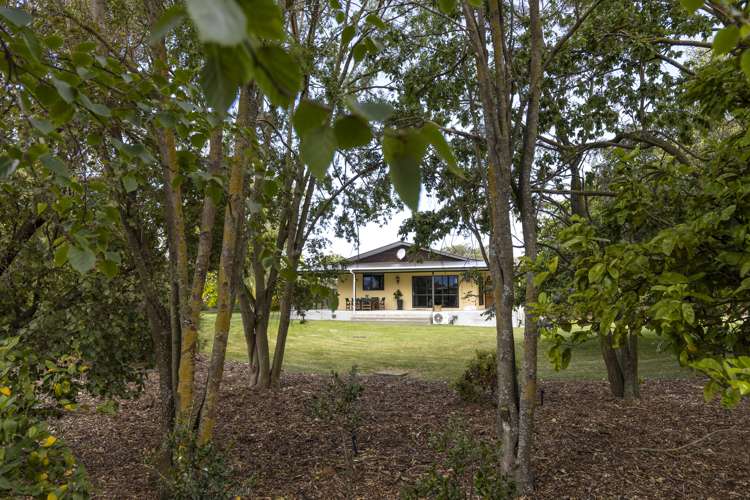 44 Rene Street Springlands_26