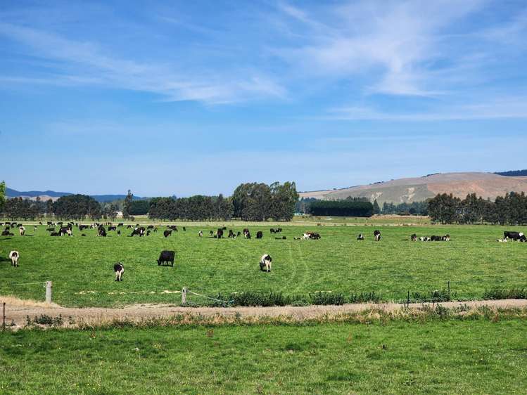 113 Scott Road Milton_13