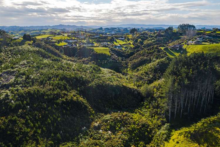 10 Hautoa Lane Flat Bush_8