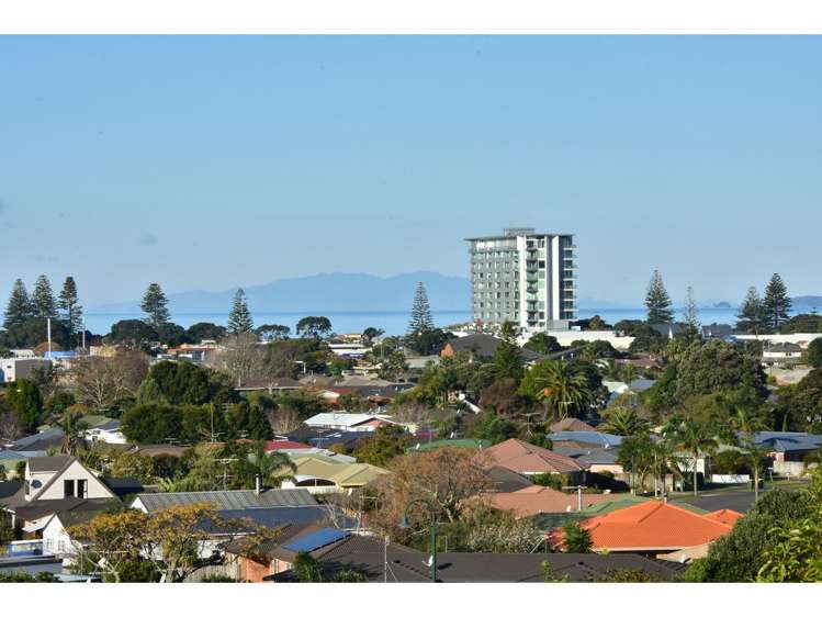 123 Grovenor Drive Orewa_3