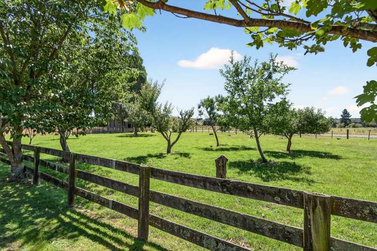 869 Norfolk Road Carterton_27