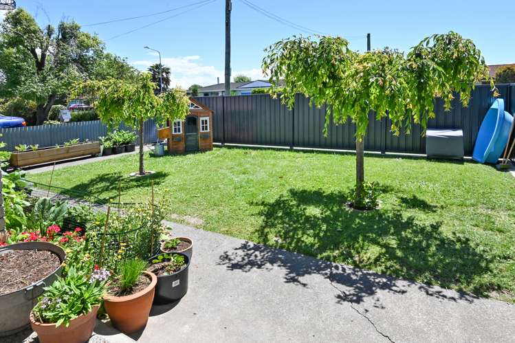 107 Princes Street Parkvale_4