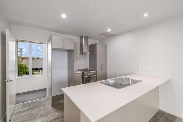 1/19 Cameron Street Sydenham_2