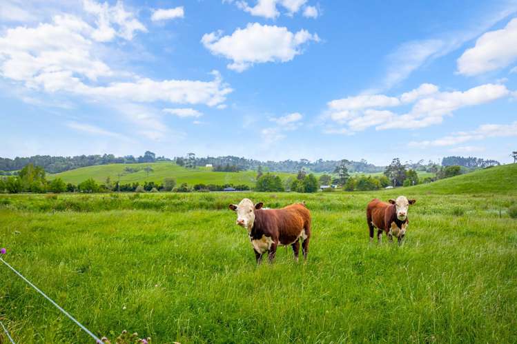 515 Kahikatea Flat Road Waitoki_37