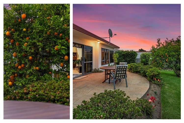 31 Meadowviews Drive Welcome Bay_14