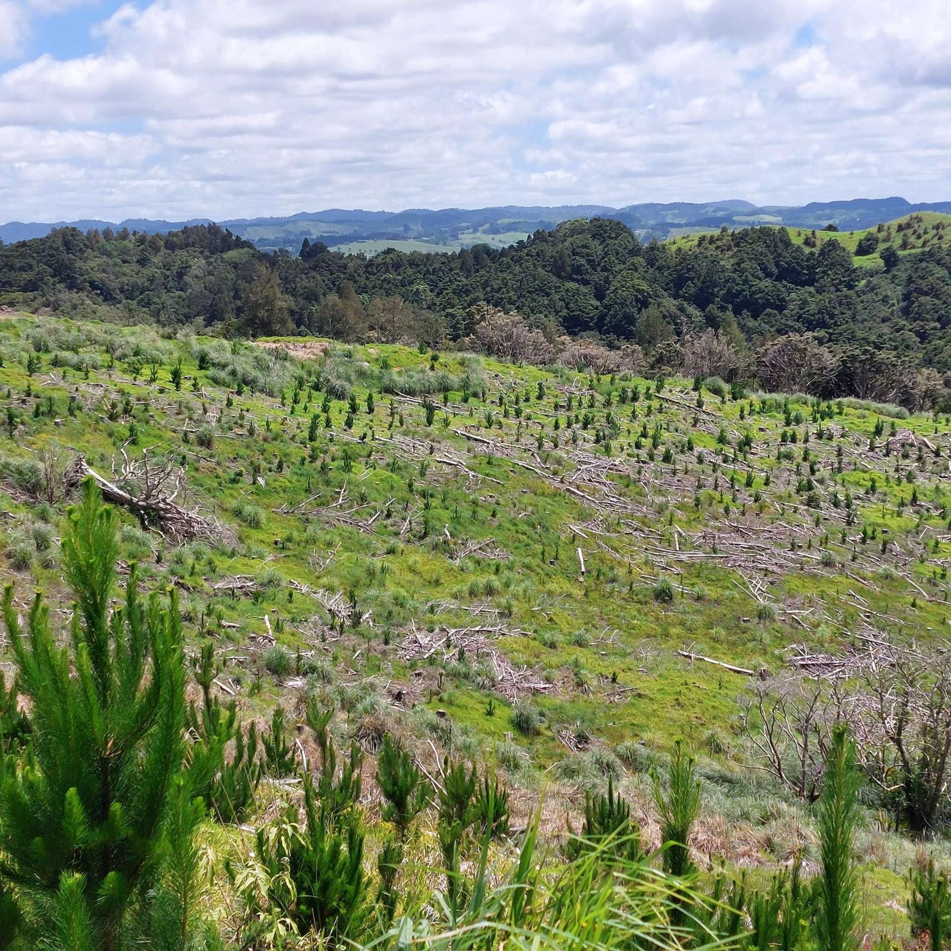 Lot 7/49 Kamea Place Maungaturoto_0