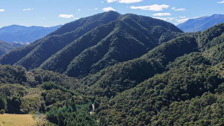 291 Braeburn Track Braeburn Range_22