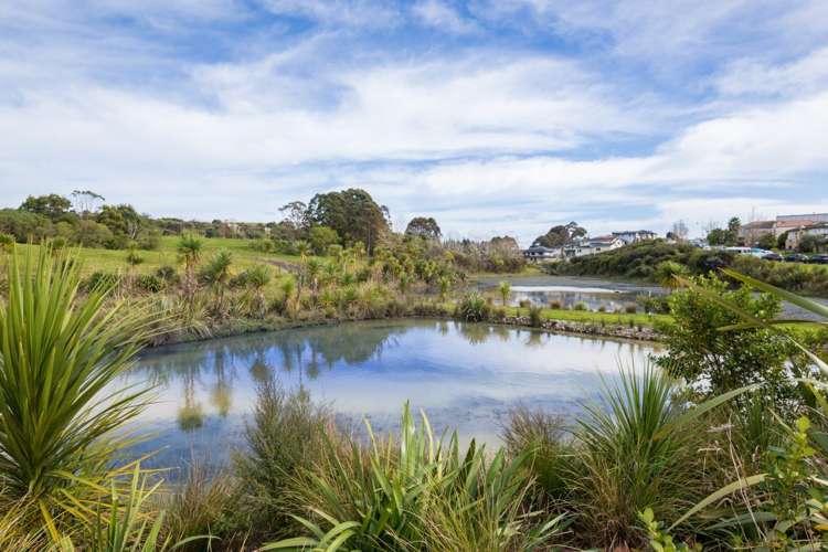 128 Hugh Green Drive Pinehill_22