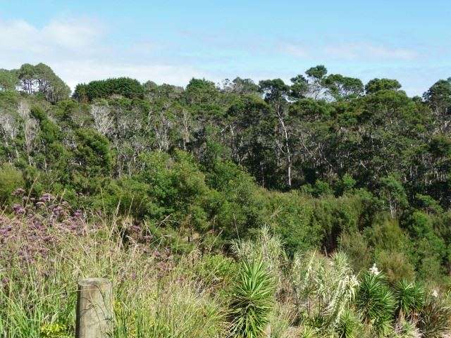 27 Richmond Road Mangonui_2