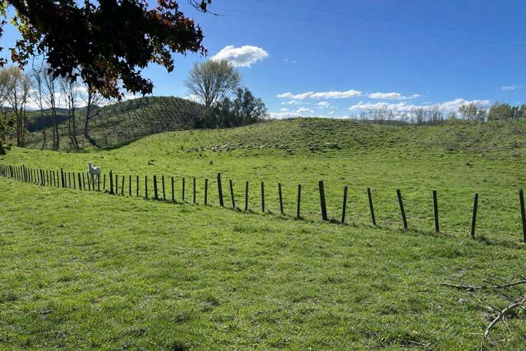 207 Rotowai Road Omakere_14