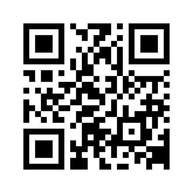 51 Manurere Street Hei Hei_11