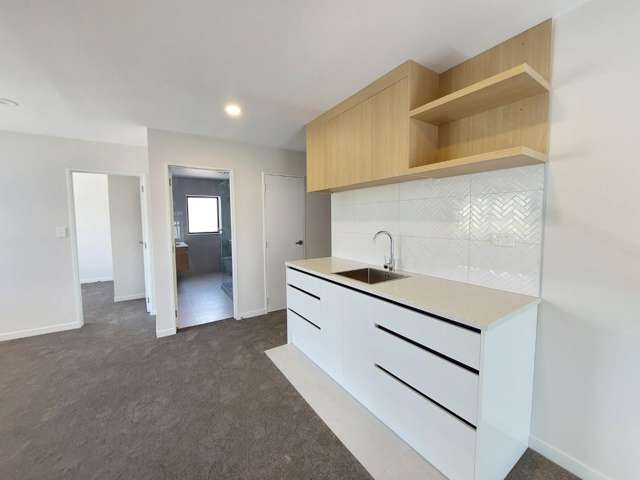 15 Mcquoids Road Flat Bush_2