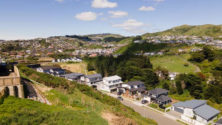 12 Prestwich Rise Churton Park_43