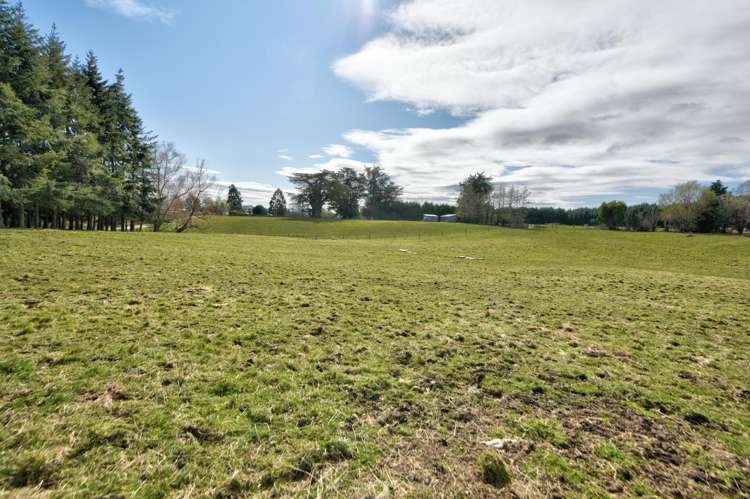 Braudigam Road East Tapanui_21