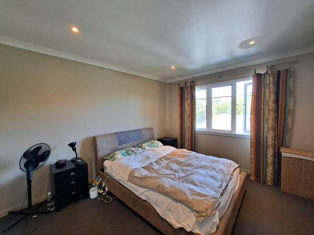 5B Pendarves Street New Plymouth City Centre_2