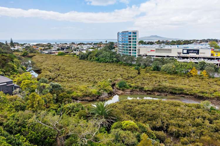 9 Rangitoto Terrace_5