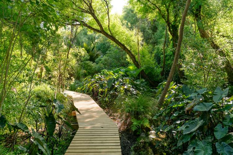 14a Puriri Road Waikanae_59