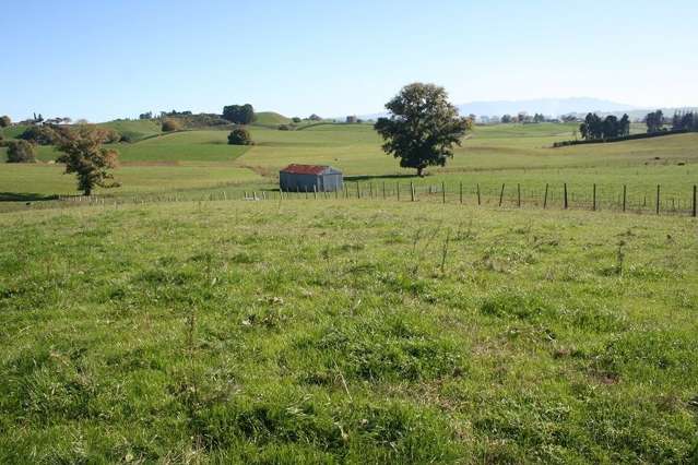 207 Mangaorongo Road Otorohanga_3