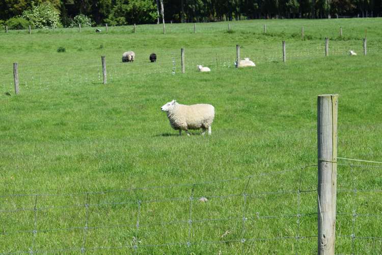 72 Clifden Highway Tuatapere_13