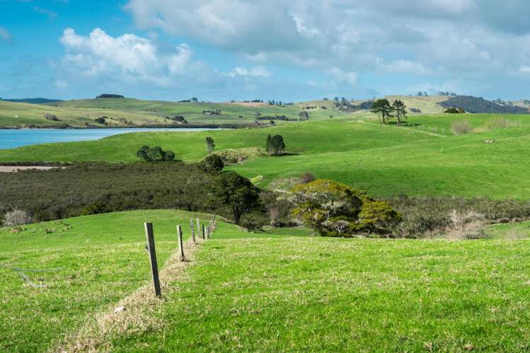 450 Neems Road Matakohe_16