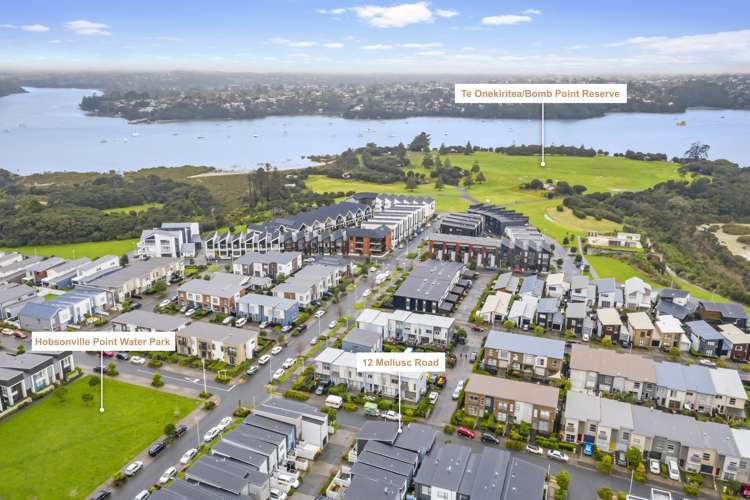 12 Mollusc Road Hobsonville_20