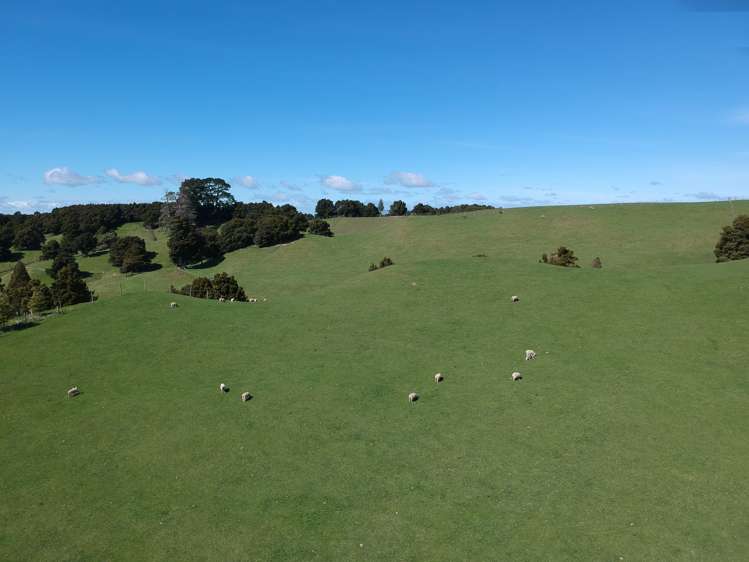 613 Blackburn Road Ongaonga_9