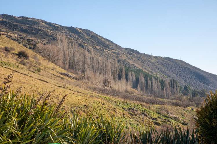 231 Scotland Street Roxburgh_6