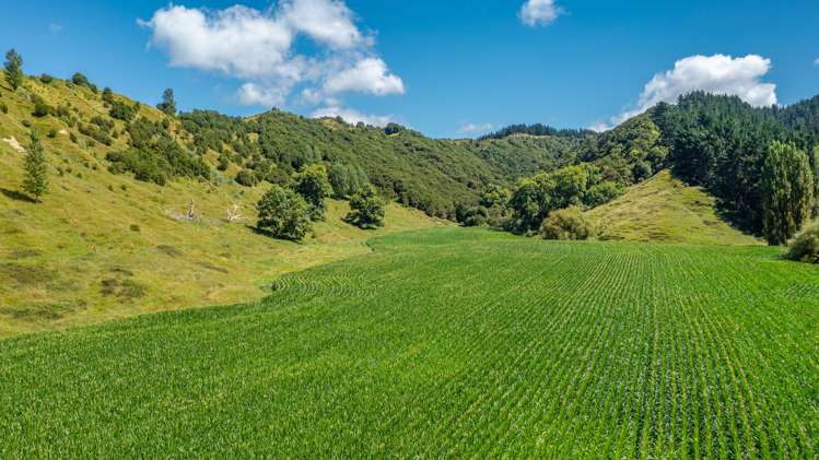 532 Waiatai Road Wairoa_8