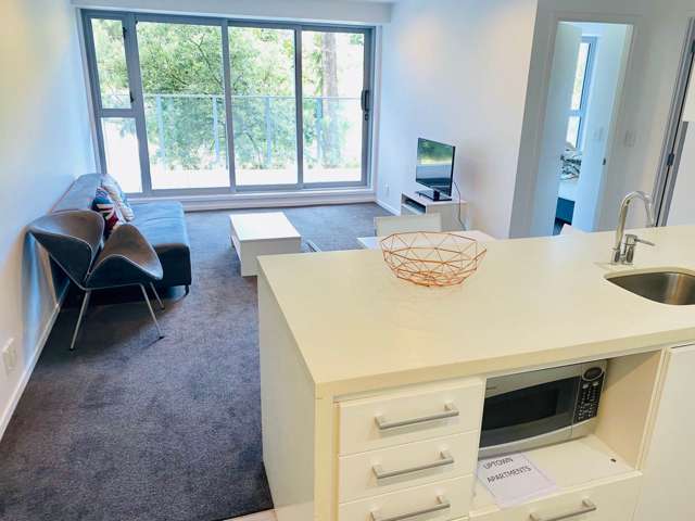 2B/10 Upper Queen Street City Centre_4