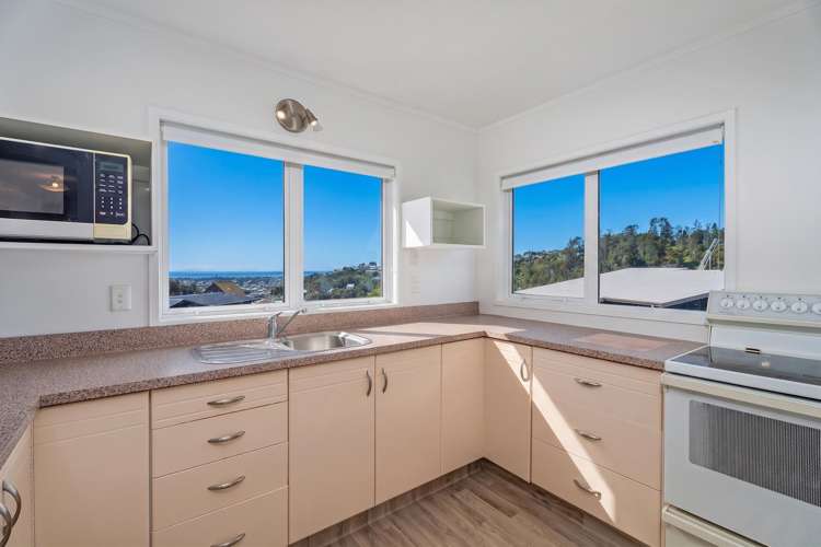 66 Windsor Drive_5