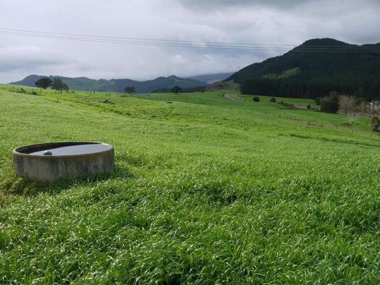 259 Waimata Road Dargaville Surrounds_10