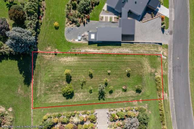 Views & position & potential