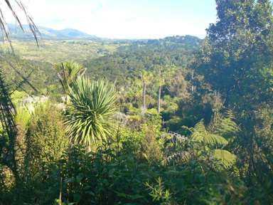 340 Duddy Road_3