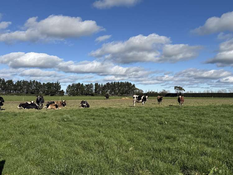 169 Hamilton Road Isla Bank_7