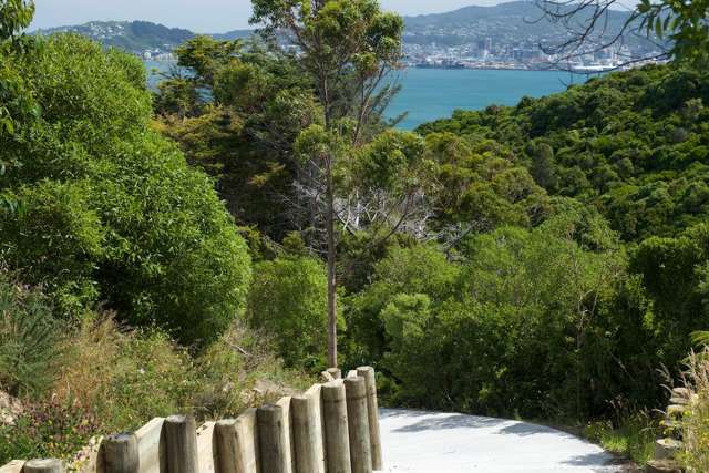 52A Dungarvan Road Newlands_3