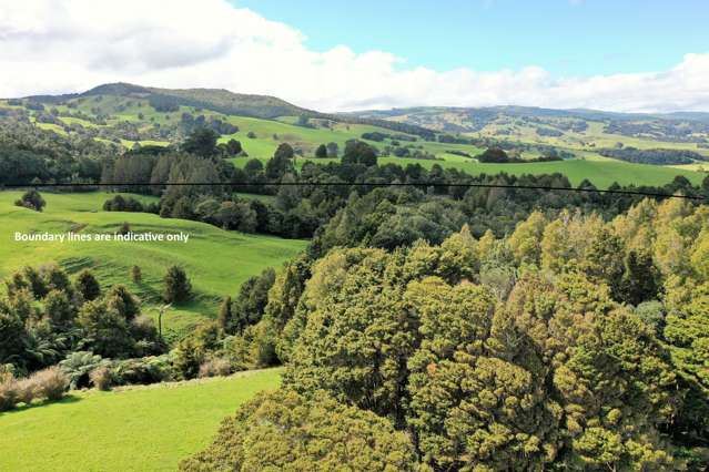 Lot 1 Katui Road Dargaville Surrounds_3