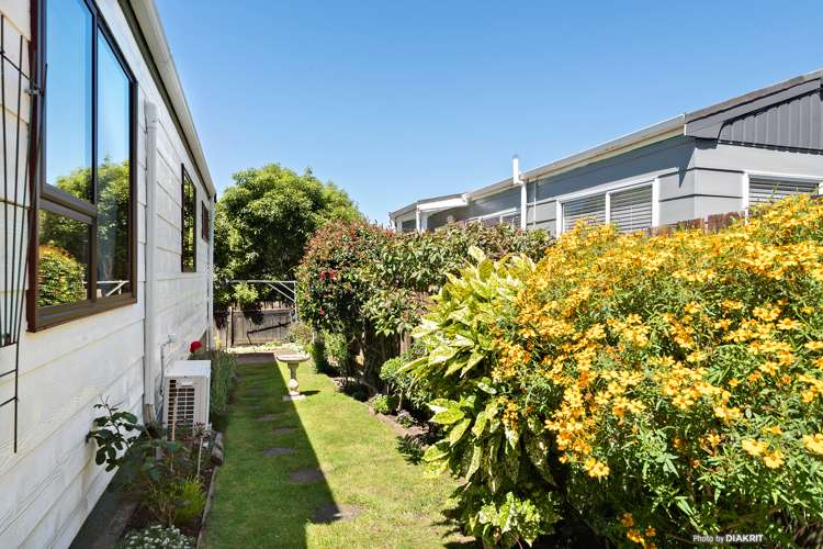 104 Tauhinu Road Miramar_12