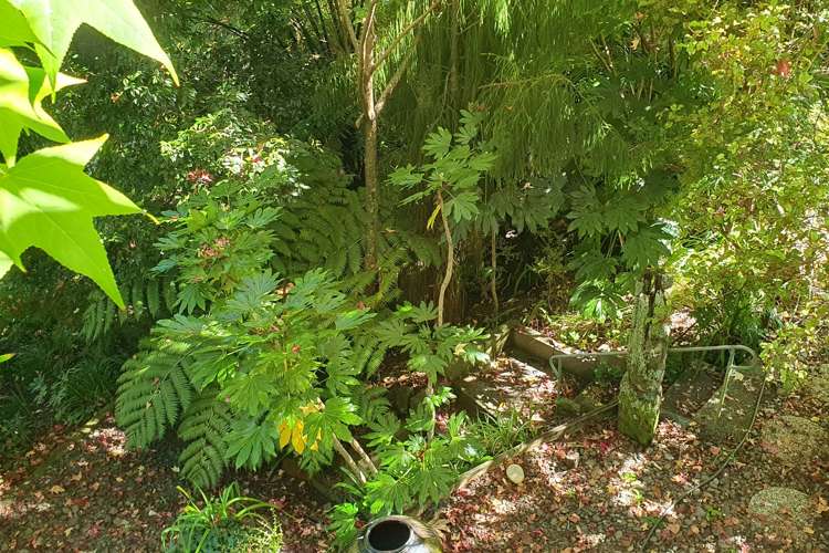 2 Otuturu Creek Road Thames_20