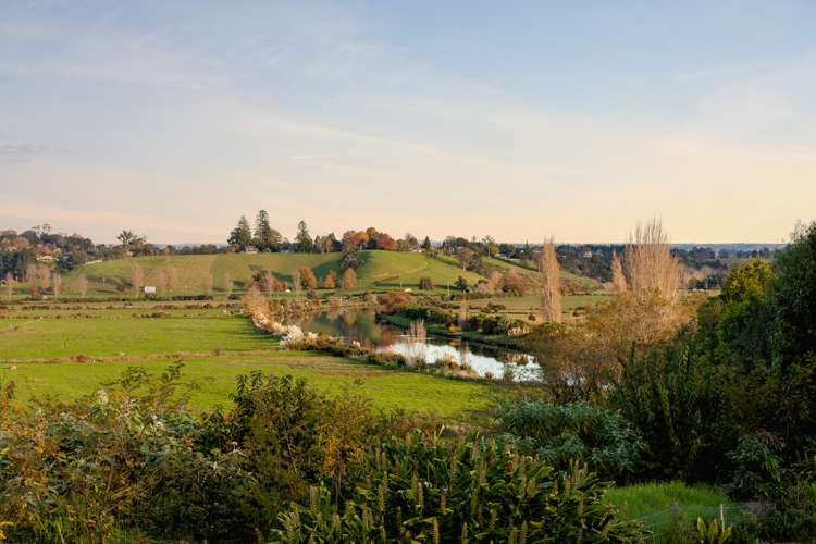 82d Taniwha Place Bethlehem_18