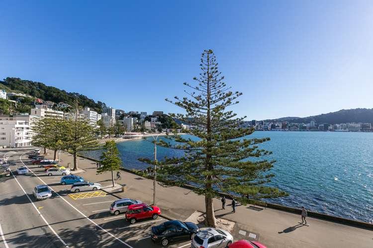 4/306 Oriental Parade Oriental Bay_17