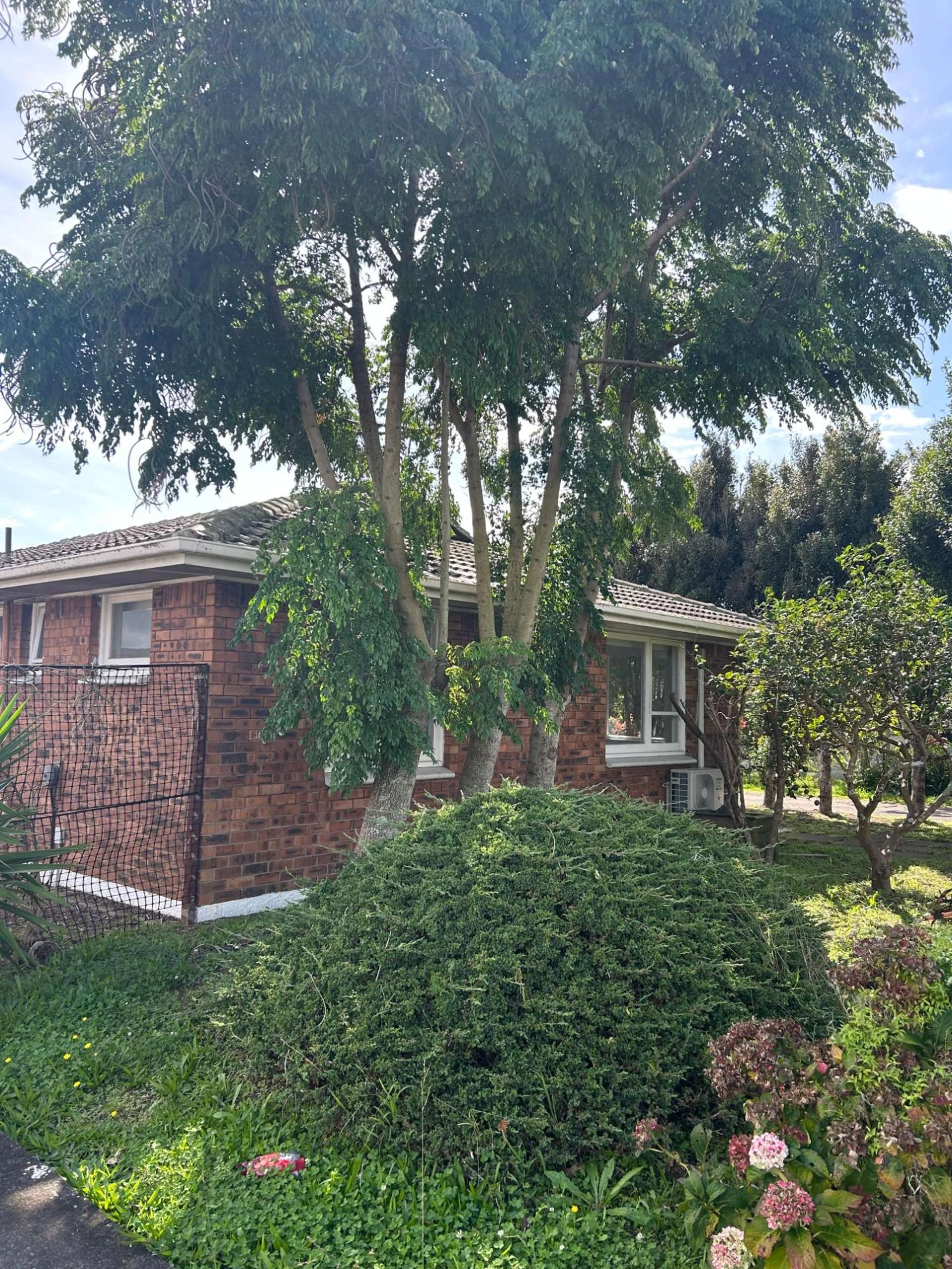  1/242 Shirley Road Papatoetoe_0
