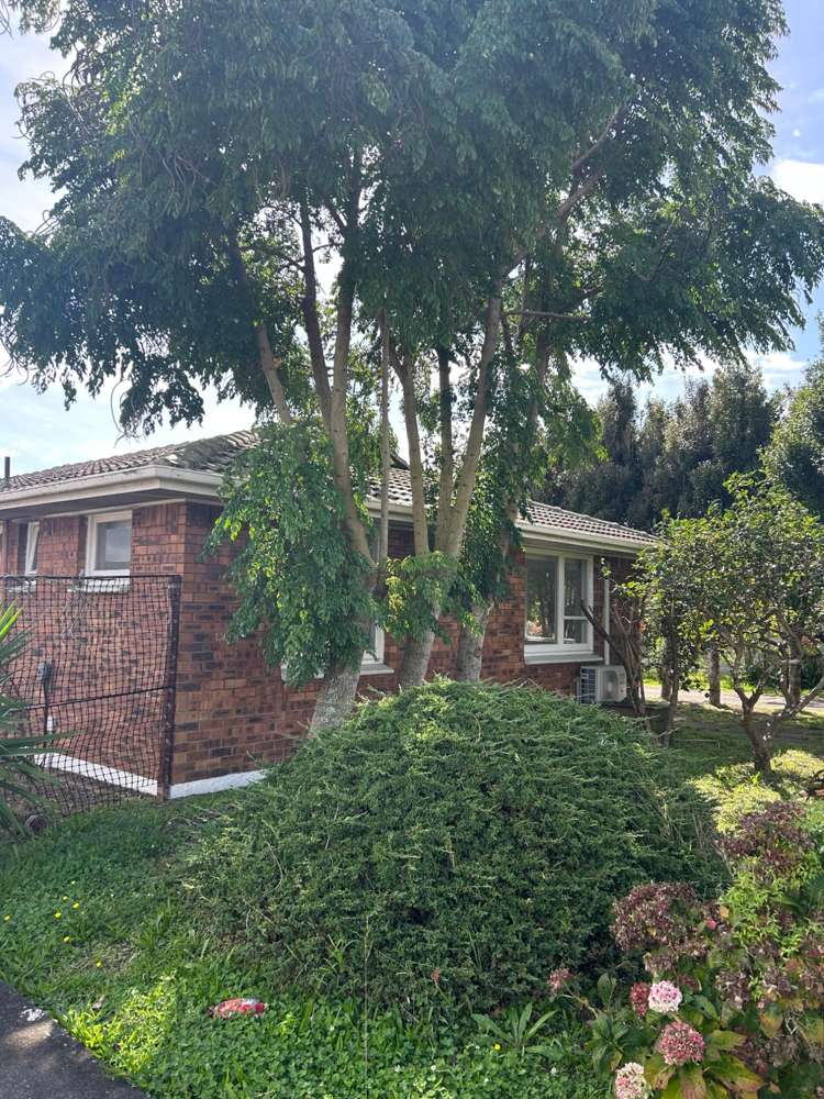  1/242 Shirley Road Papatoetoe_0