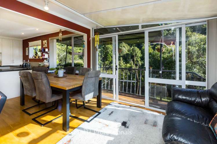 36 Black Beech Street Birchville_4