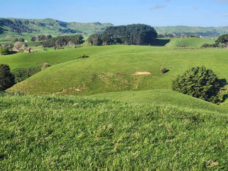 899 Te Akau Road Te Akau_8