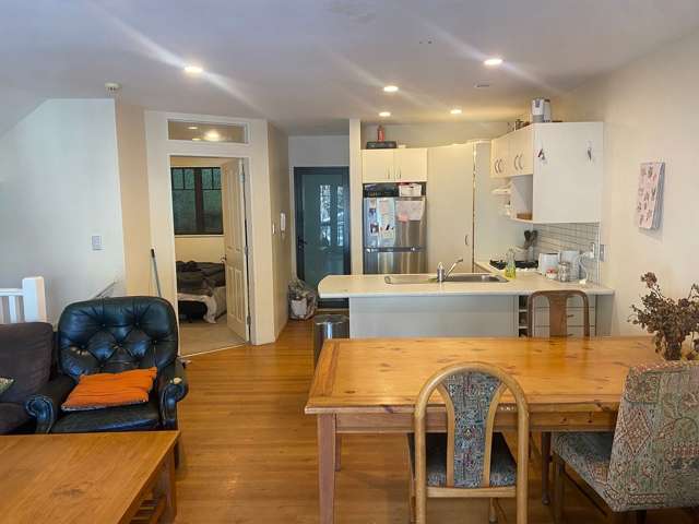 136 Aro Street Aro Valley_3